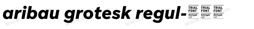 aribau grotesk regul字体转换